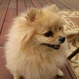 Meet your Posher, Maureen